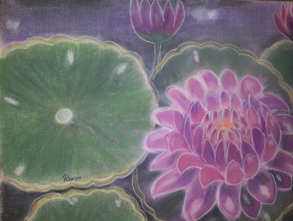 زنبقة - Water lily
