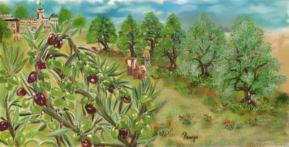 Palestine country of beauty