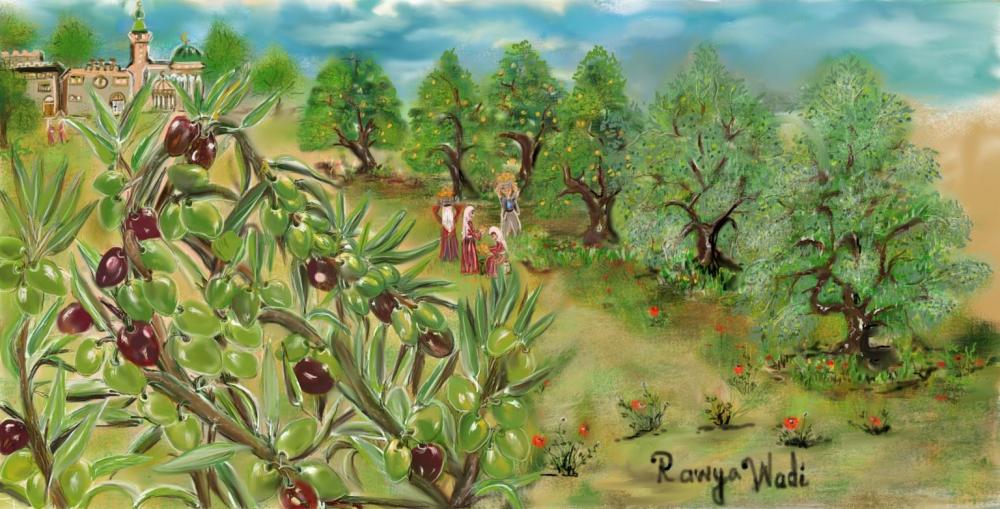 Palestine country of beauty