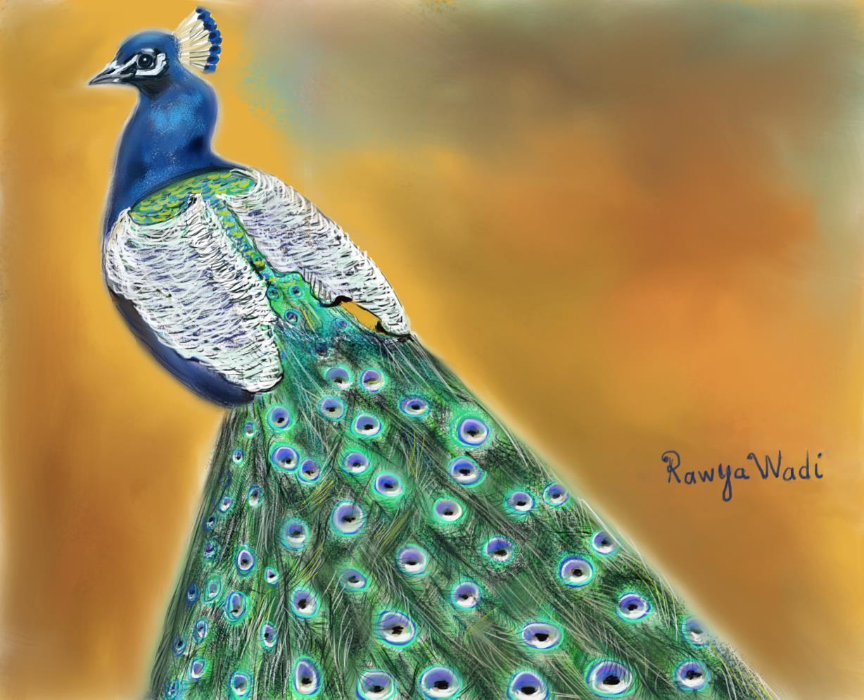 peacock dress1