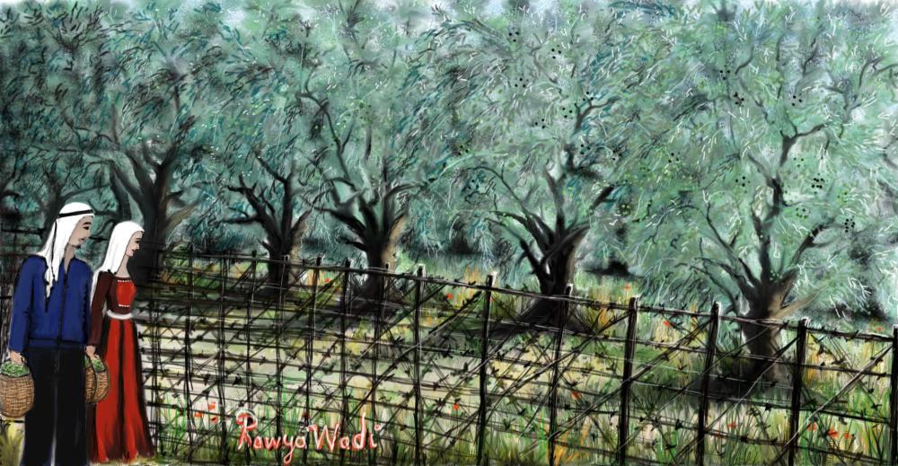 حصاد الزيتون