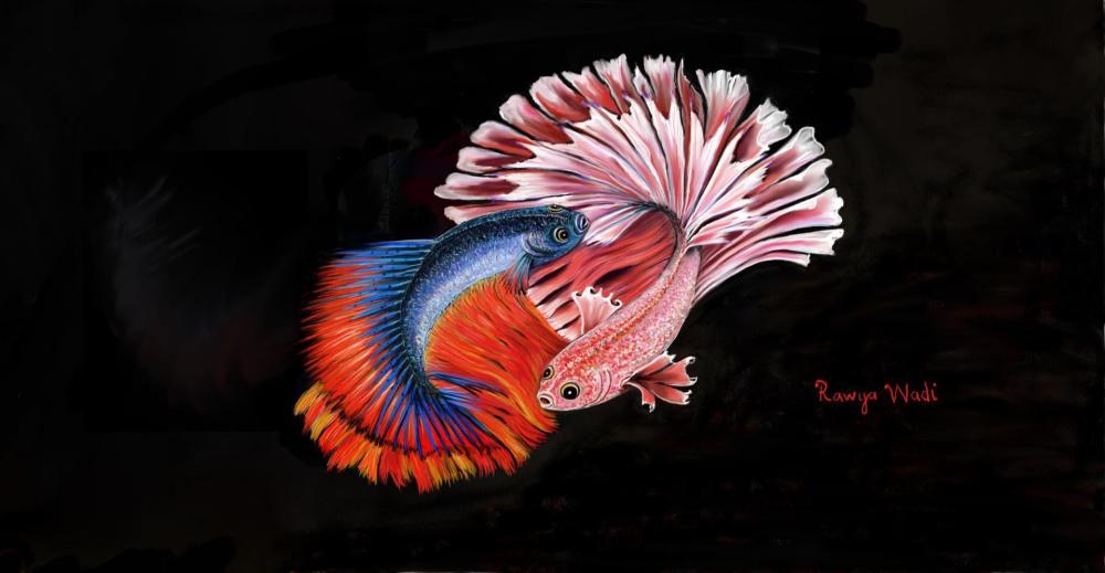 beta fish2