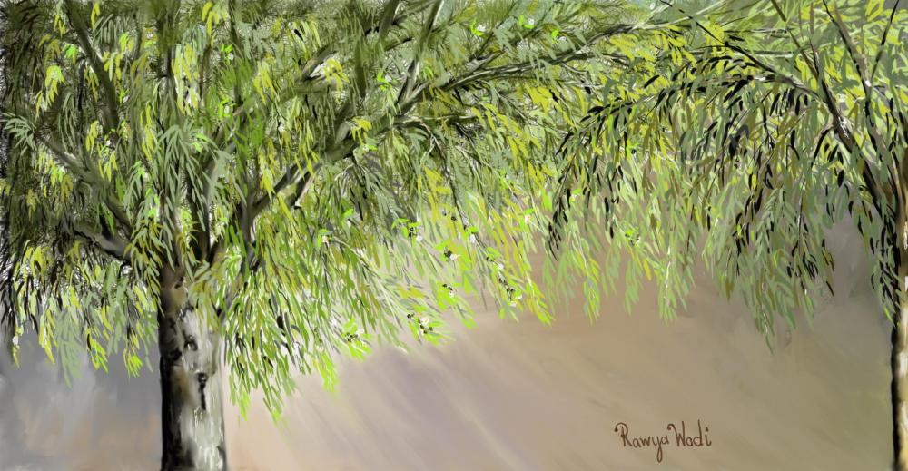 شجرة الكينيا1